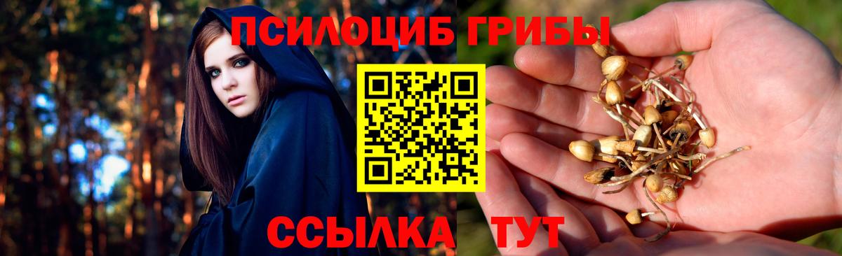 Псилоцибиновые грибы мицелий  Вход с VPN  Кисловодск 